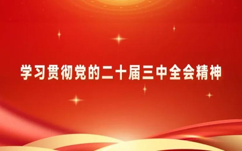 党建阵地 - 今年会jnh集团党员干部进建贯彻党的二十届三中全会心灵体味互换（四）